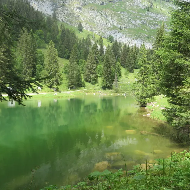 Lac de Fontaine - Vacheresse - Haute Savoie