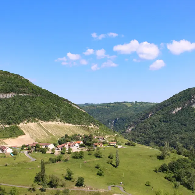 Vignes du Bugey