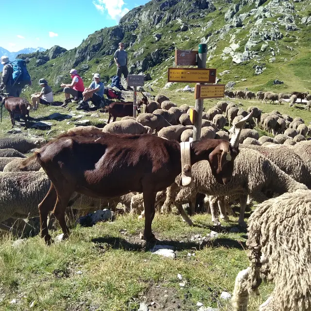 La Jasse - Aiguebelle [en cours de balisage]_Les Sept Laux Le Pleynet