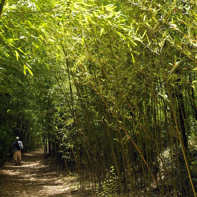 Visites de la passion en Pays de Fayence