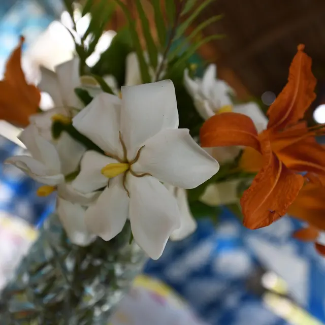 Fleurs chez Oasis de Wayaat
