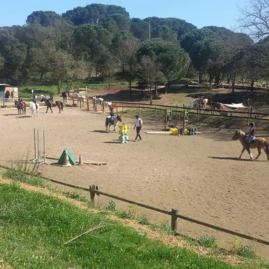 Centre équestre l'Étalon Papillon