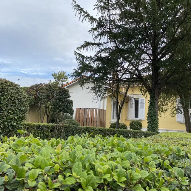 Les jardins de la bibliothèque Takaya_Morières-lès-Avignon