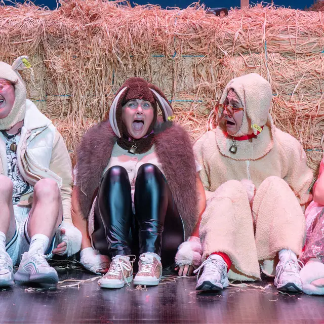 Théâtre : Foutue Bergerie - Pierre Guillois_Annemasse