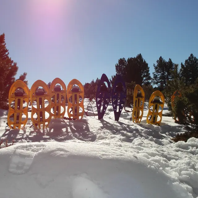 Raquettes et construction d'Igloo avec la Maison de la Montagne