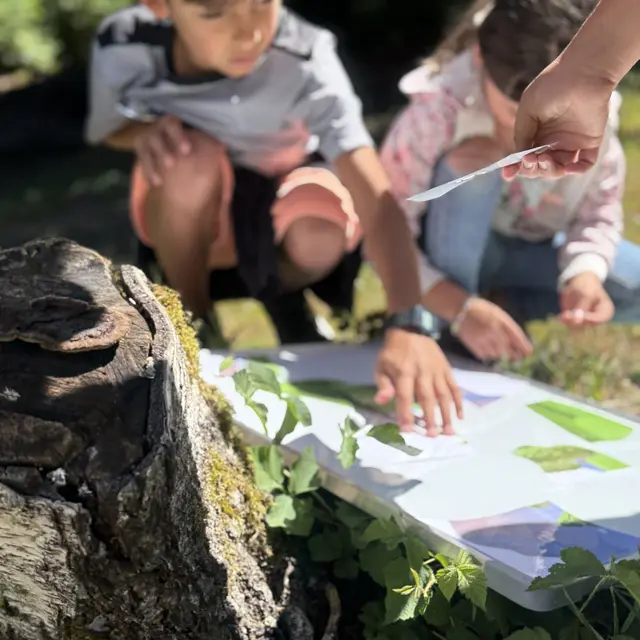 Les petits explorateurs du Marais des Chassettes I Rendez-vous Nature en Savoie_Challes-les-Eaux