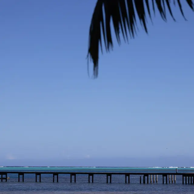 Fare Miri Miri_Moorea-Maiao