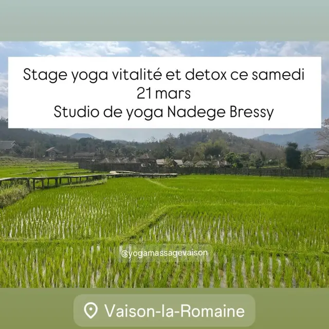 Stage Yoga vitalité et détox - Nadège Bressy_Vaison-la-Romaine