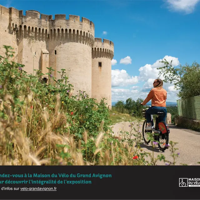 Exposition de photos Portraits en Selle_Villeneuve-lez-Avignon