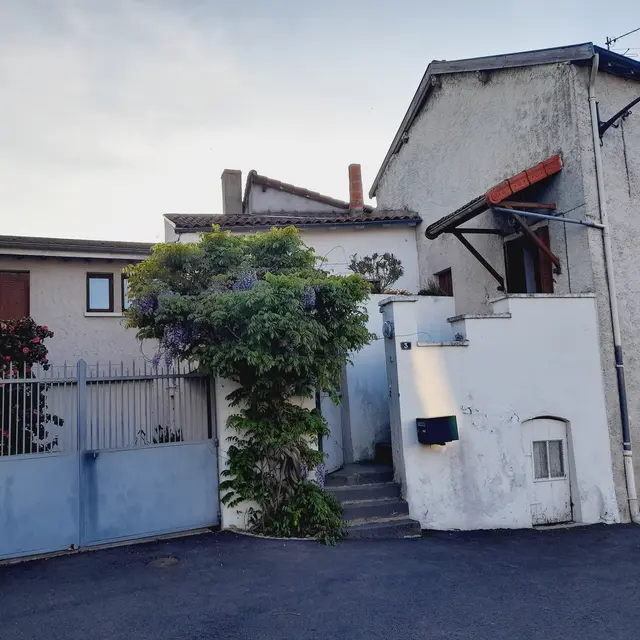 La Maison au Camélia