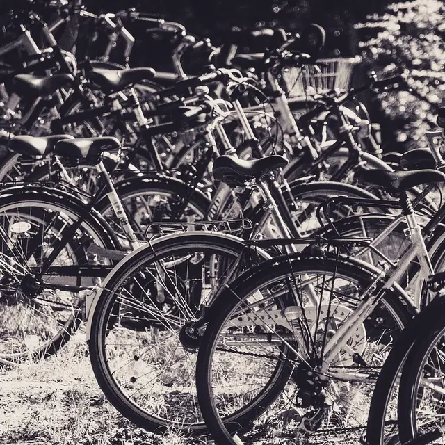 Bourse aux vélos et articles de sport_Chalmazel - Jeansagnière