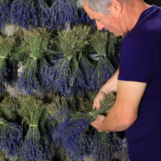 Distillerie des 4 Vallées - Bouquets