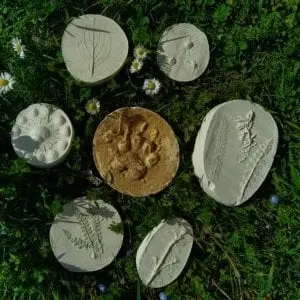 Moulages sauvages d'empreintes et de plantes (4-7ans) - Maison du Marais de Lavours_Ceyzérieu