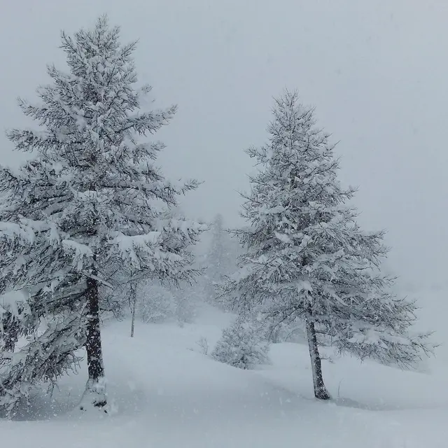 Séjour raquettes et ressourcement