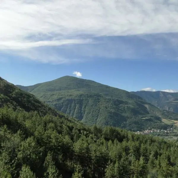 Foret communale de Valserres