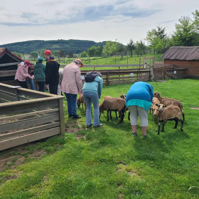 Mini-ferme & mini-kermesse - Miellerie la Grange aux Abeilles_Estivareilles