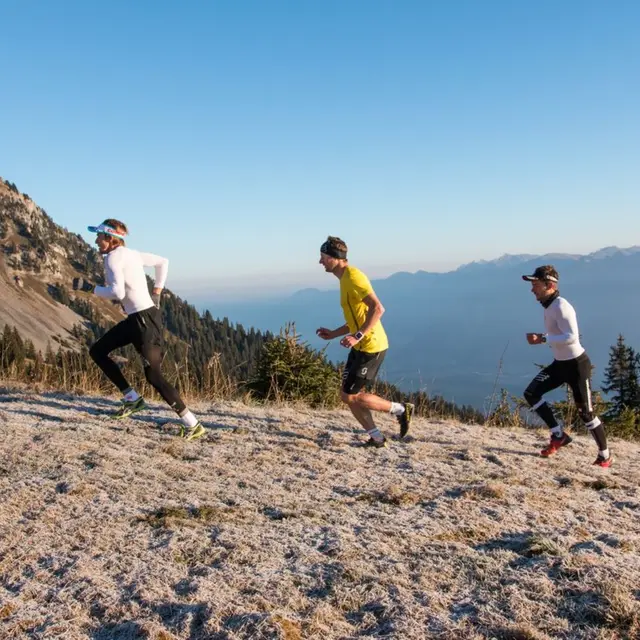 Swiss Peaks Trail_Morgins