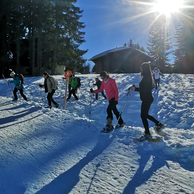 fête de la raquette