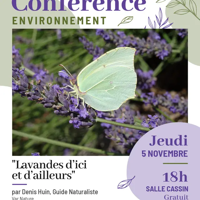 Conférence environnement : Lavandes d’ici et d’ailleurs  _La Londe-les-Maures