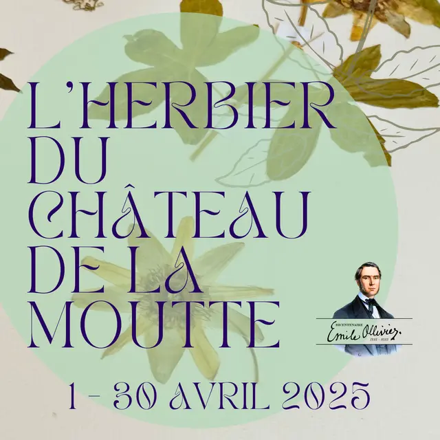 Exposition temporaire : L’herbier du château de la Moutte_Saint-Tropez