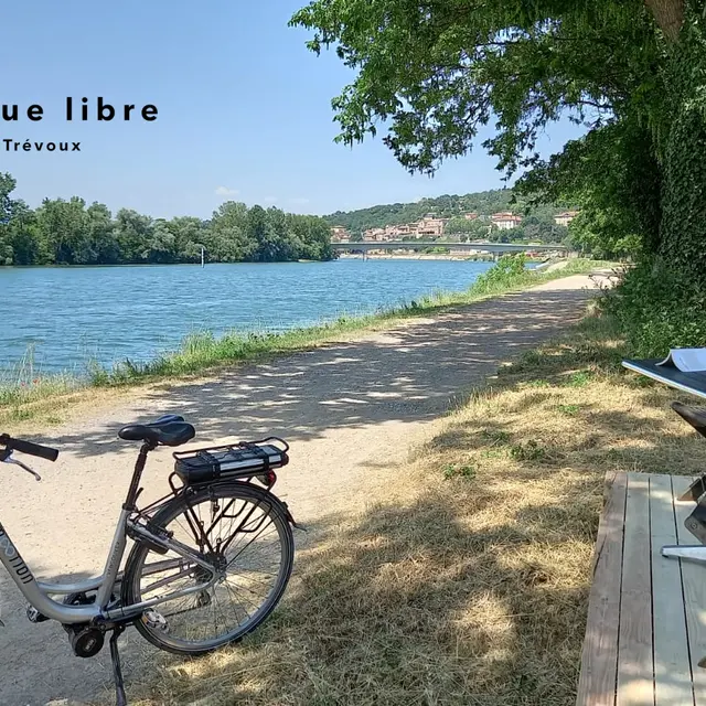 Café - Vélo la roue libre
