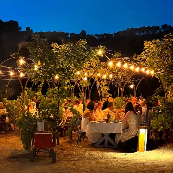 Soirée blanche dans les vignes_Cotignac