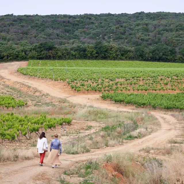 Sentier vigneron - Domaine de Cantarelle, Brue Auriac