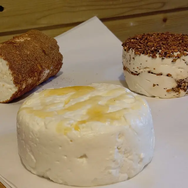 Initiation à la transformation fromagère_La Côte-en-Couzan