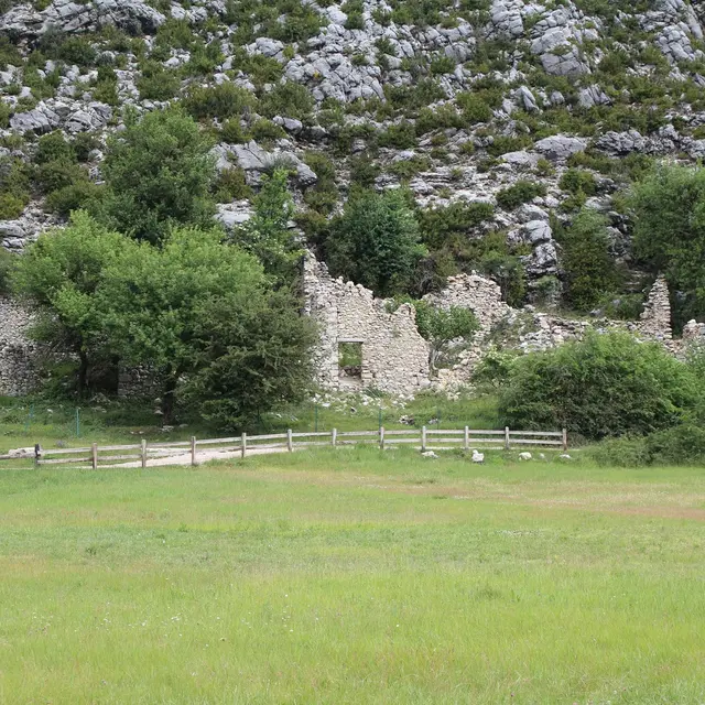 Scierie du Mont Brouis