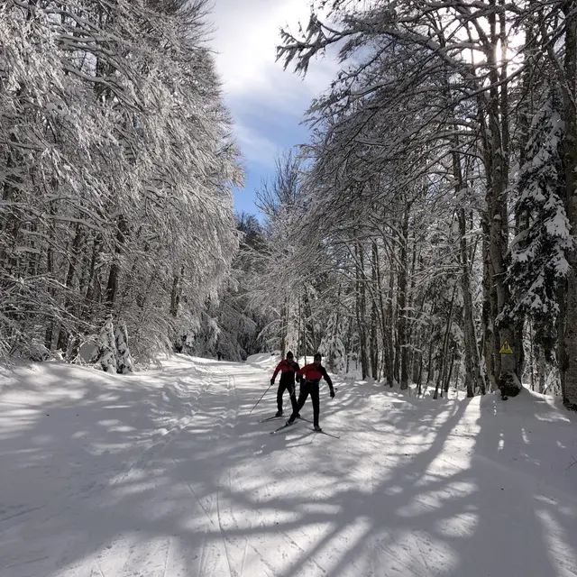 Ski nordique sur le Site de Lachat_Haut Valromey