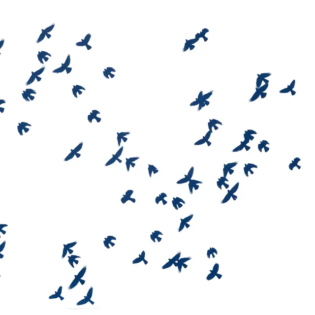 Conférence Fanny Zambaz - Cyanotypes des Alpes_Samoëns