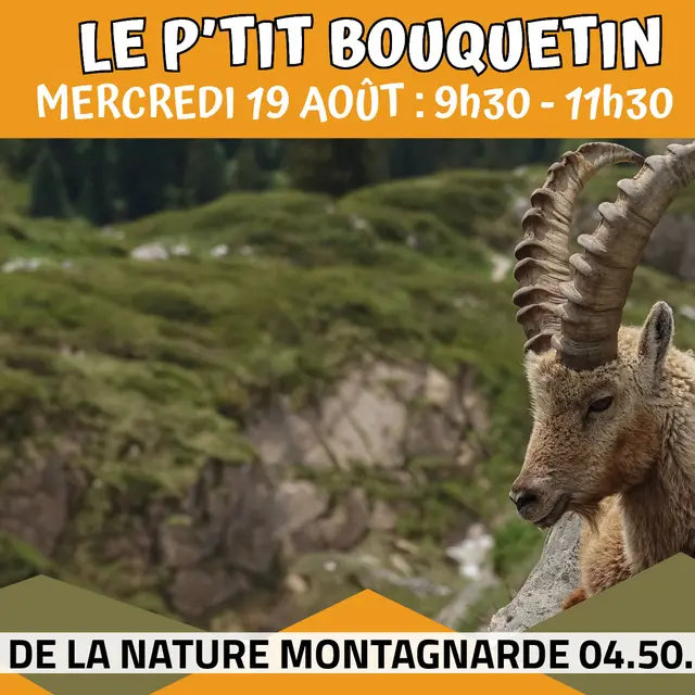 Les P'tits Experts de la Nature® - Le P'tit bouquetin_Sallanches