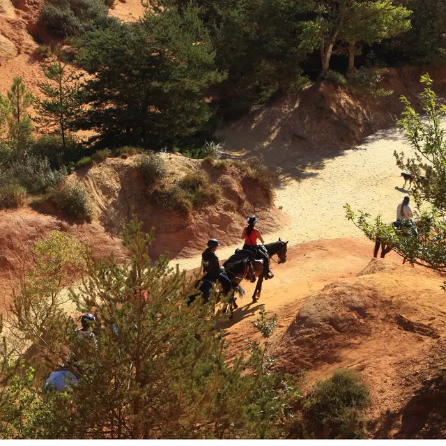 Randonnée équestre