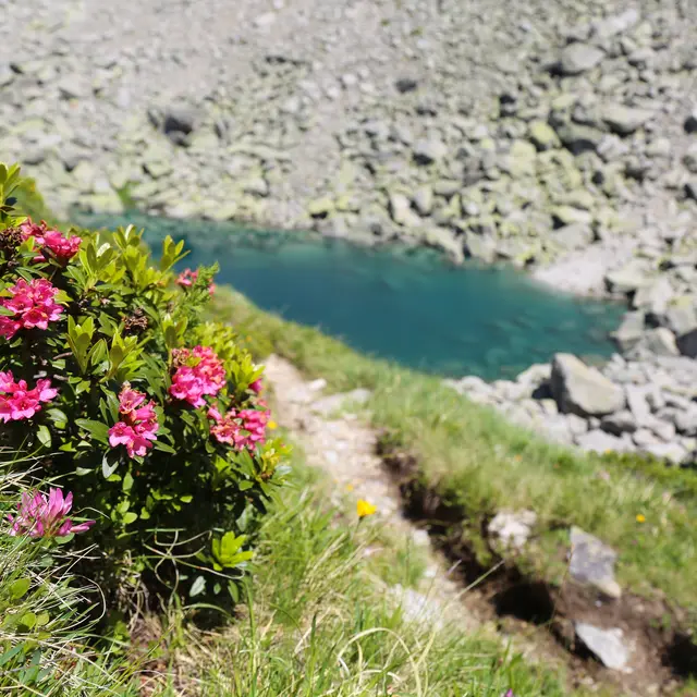 Lac Bleu