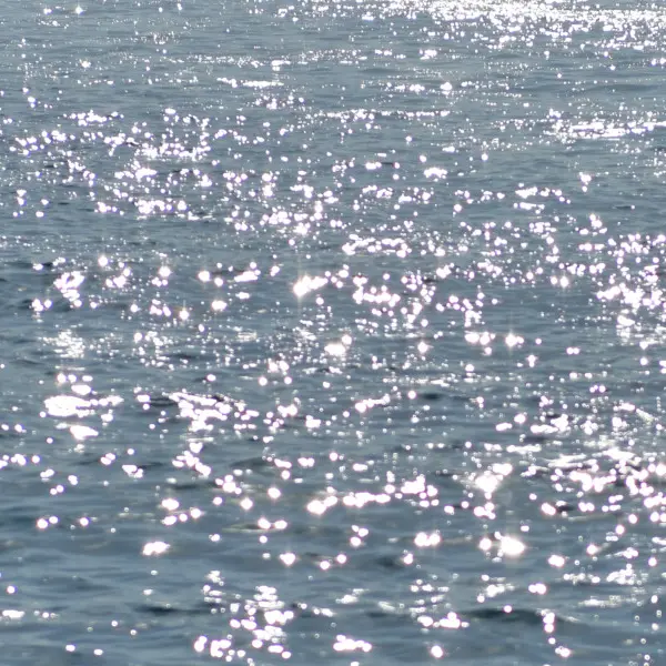 Journée mondiale de l'eau au Muséum d'Histoire Naturelle de Marseille (MHNM)_Marseille