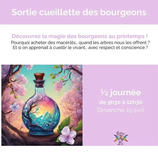 Sortie cueillette_Attignat