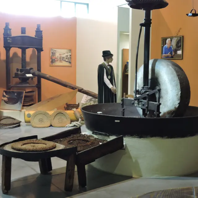 Musée de l'Olivier à Nyons