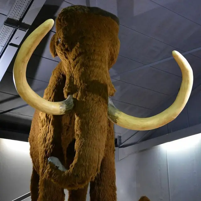 FIRA : Festival de la Randonnée en Cévennes