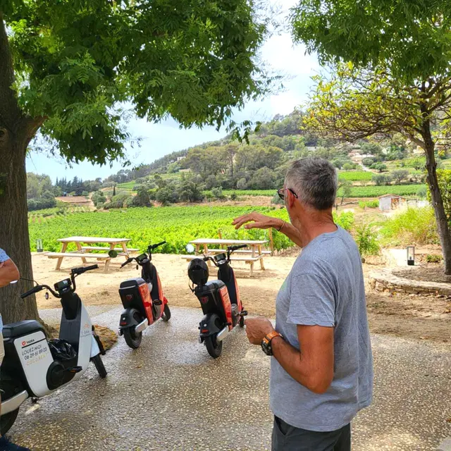 Cocorent Balade au milieu des vignes Bandol