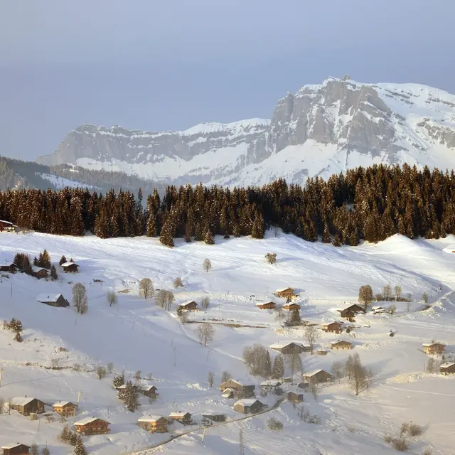 Du Lachat au Planay