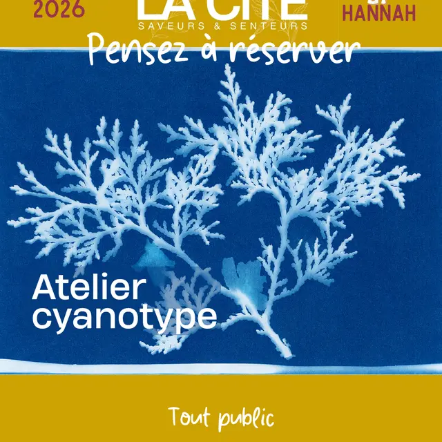 Atelier cyanotype_Forcalquier