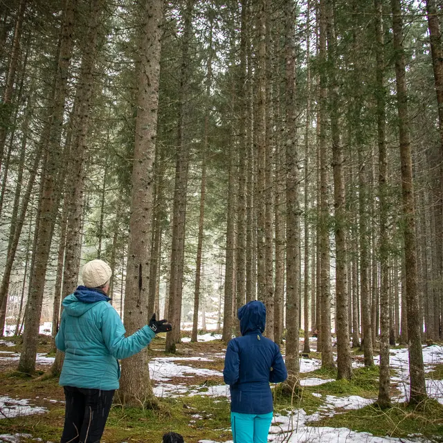 Randonnée sophrologie avec Cécile Demargne