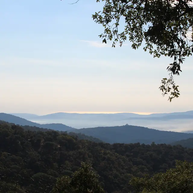 Val d'Aubert - La Garde-Freinet - Randonnée pédestre