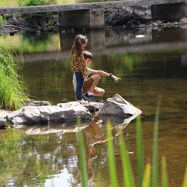 Chère écrevisse_Tence