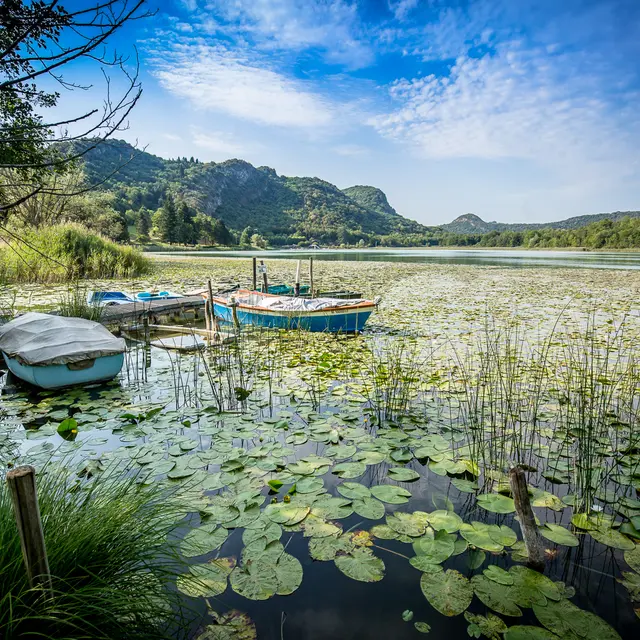 Lac de Barterand