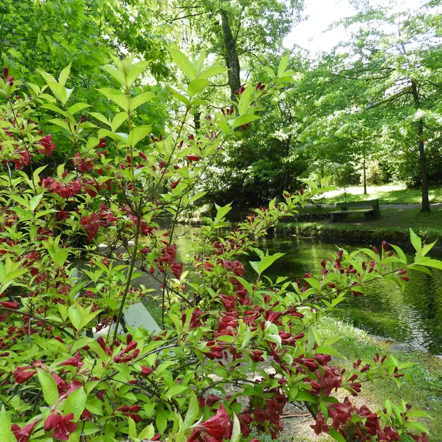 Le Parc du Teich