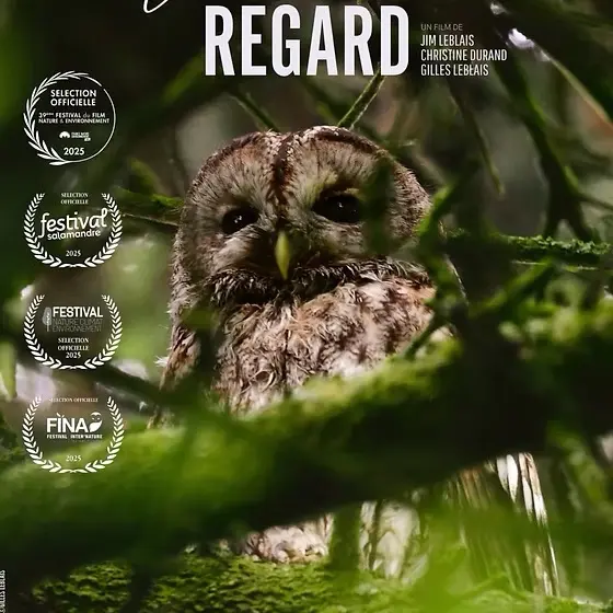 Ciné-débat : Un autre regard_Bilieu