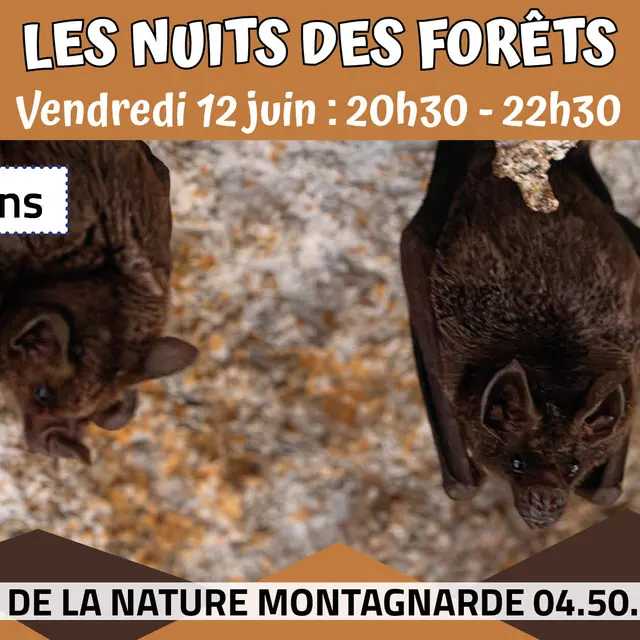 Les Nuits des Forêts_Sallanches