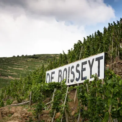 Wine Notes au Domaine De Boisseyt_Chavanay