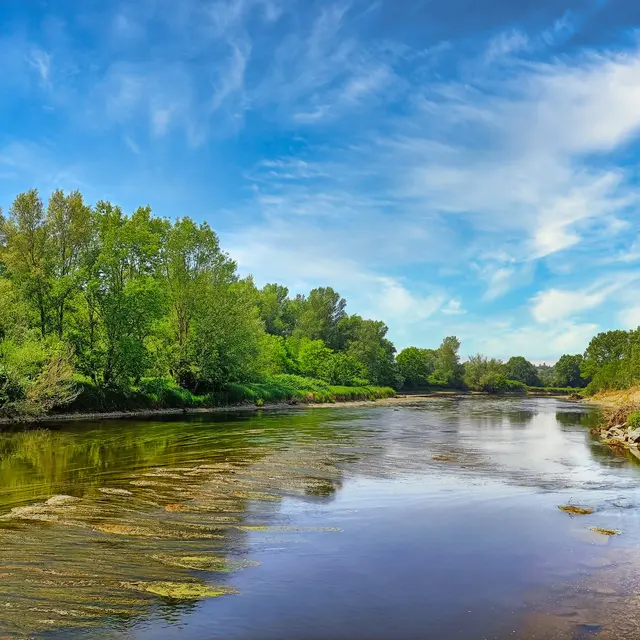 Bords de Loire